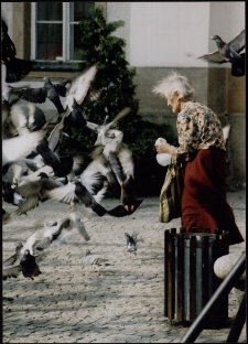 Odlot [Dokument ikonograficzny]