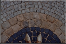 Jeleniogórzanin [4] [Dokument ikonograficzny]