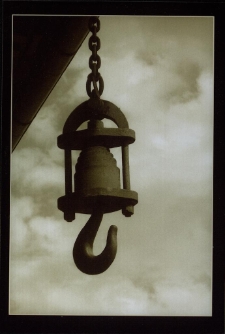 Relikty - Wolny [Dokument ikonograficzny]