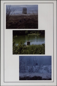 Trzy pory roku stawu przy ul. Głowackiego [Dokument ikonograficzny]