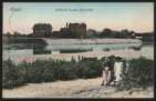 Ohlau – Oderpartie m. dem Schlachthof [Dokument ikonograficzny]