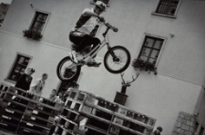 Uwaga na jelenie! [Dokument ikonograficzny]