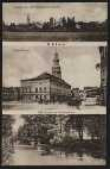 Ohlau &ndash; Ansicht von den Ohlewiesen gesehen, Ring-Rathaus, Ohle Partie am Sch&uuml;tzenhaus [Dokument ikonograficzny]