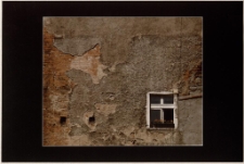 Ładne kwiatki [Dokument ikonograficzny]