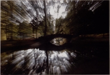 Cieplickie refleksje [2] [Dokument ikonograficzny]