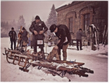 [Fotografia - wyróżnienie] [Dokument ikonograficzny]