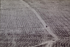 Widok z Góry Szybowcowej [Dokument ikonograficzny]