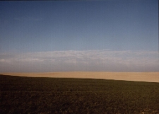 Konkurs miesiąca, styczeń 2001, wyróżnienie [Dokument ikonograficzny]