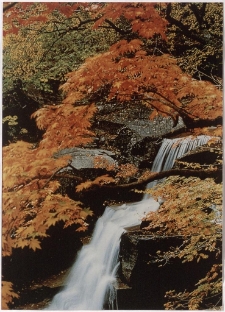 Konkurs miesiąca, luty 2001, wyróżnienie [Dokument ikonograficzny]