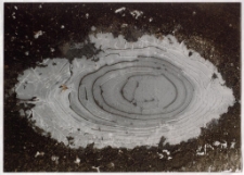 Konkurs miesiąca, kwiecień 2001, wyróżnienie [Dokument ikonograficzny]