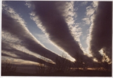 Konkurs miesiąca, maj 2001, miejsce 1 [Dokument ikonograficzny]