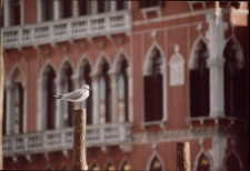 Konkurs miesiąca, styczeń 2002, miejsce 2 [Dokument ikonograficzny]