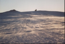 Konkurs miesiąca, luty 2002, miejsce 2 [Dokument ikonograficzny]