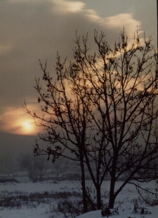 Konkurs miesiąca, luty 2002, miejsce 3 [Dokument ikonograficzny]