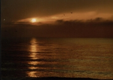 Konkurs miesiąca, kwiecień 2002, wyróżnienie [Dokument ikonograficzny]