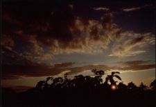 Konkurs miesiąca, czerwiec 2002, miejsce 1 [Dokument ikonograficzny]