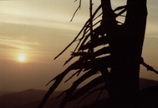 Konkurs miesiąca, wrzesień 2002, miejsce 3 [Dokument ikonograficzny]