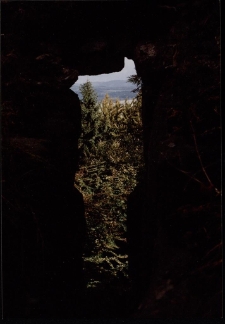 Konkurs miesiąca, październik 2002, miejsce 3 [Dokument ikonograficzny]