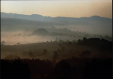 Konkurs miesiąca, listopad 2002, miejsce 3 [Dokument ikonograficzny]