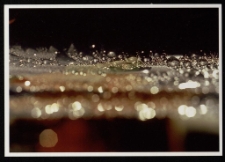 Konkurs miesiąca, grudzień 2002, miejsce 3 [Dokument ikonograficzny]