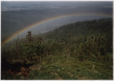 Konkurs miesiąca, lipiec 2001, miejsce 3 [Dokument ikonograficzny]