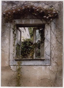 Konkurs miesiąca, lipiec 2001, wyróżnienie [Dokument ikonograficzny]