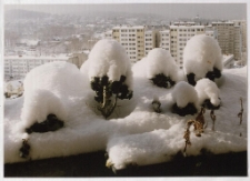 Konkurs miesiąca, sierpień 2001, miejsce 2 [Dokument ikonograficzny]