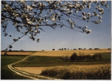 Konkurs miesiąca, wrzesień 2001, miejsce 2 [Dokument ikonograficzny]