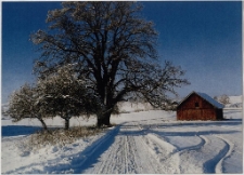 Konkurs miesiąca, grudzień 2001, miejsce 3 [Dokument ikonograficzny]