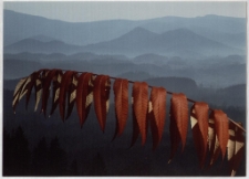 Konkurs miesiąca, grudzień 2001, wyróżnienie [Dokument ikonograficzny]