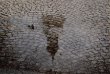 Odbicia [1] [Dokument ikonograficzny]