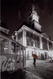 Spacer [Dokument ikonograficzny]