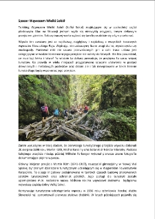 Spacer Wąwozem Wielki Sokół [Dokument elektroniczny]