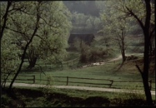 Konkurs miesiąca, kwiecień 1995, miejsce 1 [Dokument ikonograficzny]