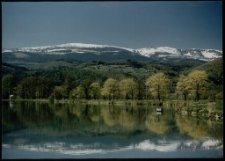 Konkurs miesiąca, maj 1995, miejsce 1 [Dokument ikonograficzny]