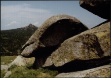 Konkurs miesiąca, sierpień 1995, miejsce 1 [Dokument ikonograficzny]