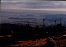 Konkurs miesiąca, listopad 1995, miejsce 3 [Dokument ikonograficzny]