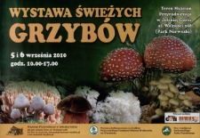 Wystawa Świeżych Grzybów - plakat [Dokument życia społecznego]