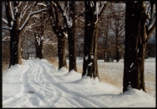 Konkurs miesiąca, marzec 1997, miejsce 2 [Dokument ikonograficzny]