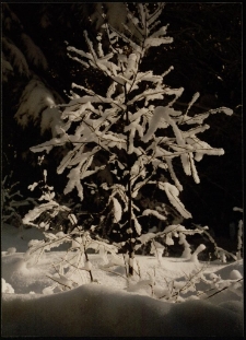 Konkurs miesiąca, marzec 1997, wyróżnienie [Dokument ikonograficzny]
