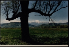 Konkurs miesiąca, czerwiec 1997, miejsce 3 [Dokument ikonograficzny]