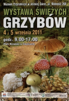 Wystawa Świeżych Grzybów - plakat [Dokument życia społecznego]