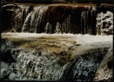 Konkurs miesiąca, lipiec 1997, miejsce 3 [Dokument ikonograficzny]