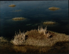 Konkurs miesiąca, październik 1997, miejsce 1 [Dokument ikonograficzny]