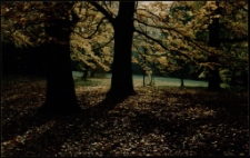 Konkurs miesiąca, listopad 1997, miejsce 2 [Dokument ikonograficzny]