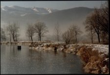 Konkurs miesiąca, styczeń 1996, miejsce 1 [Dokument ikonograficzny]