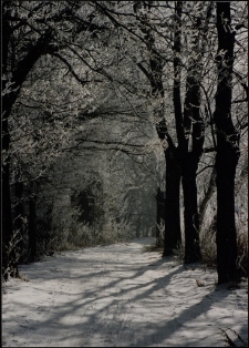 Konkurs miesiąca, luty 1996, miejsce 1 [Dokument ikonograficzny]