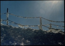 Konkurs miesiąca, luty 1996, miejsce 2 [Dokument ikonograficzny]