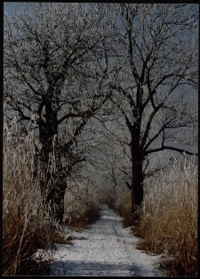 Konkurs miesiąca, marzec 1996, miejsce 2 [Dokument ikonograficzny]