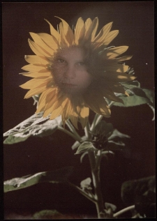 Konkurs miesiąca, kwiecień 1996, miejsce 3 [Dokument ikonograficzny]